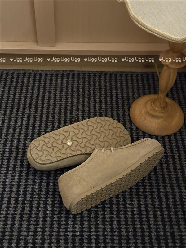 2025126111843363 270